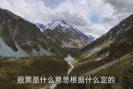 股票是什么意思根据什么定的