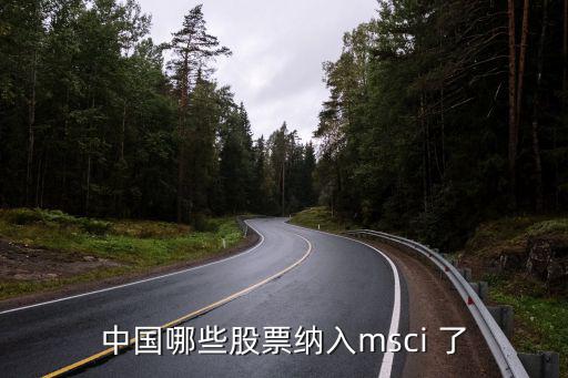 中国有多少股票入msci，A股入MSCI名单出炉哪些股票受关注最高