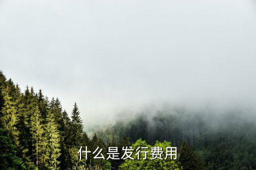 什么是发行费用