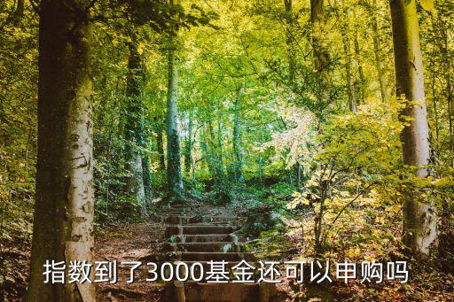 指数到了3000基金还可以申购吗