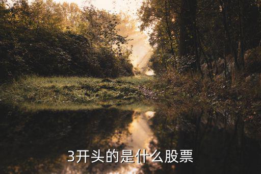 3开头的是什么股票