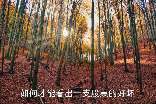 如何才能看出一支股票的好坏