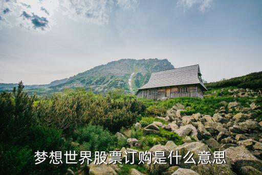 股票梦想是什么意思，梦想世界股票订购是什么意思