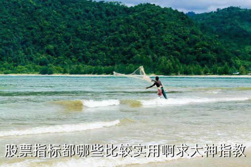 股票指标都哪些比较实用啊求大神指教