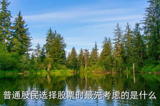 普通股民选择股票时最先考虑的是什么