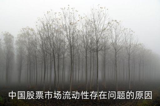 中国股票市场流动性存在问题的原因