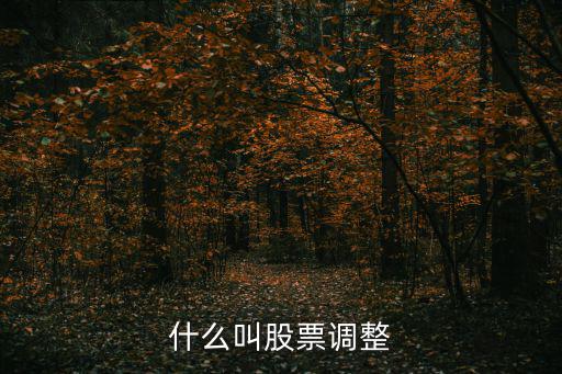什么叫股票调整