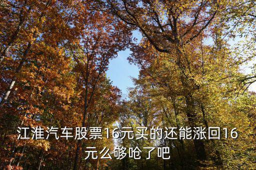 江淮汽车股票16元买的还能涨回16元么够呛了吧