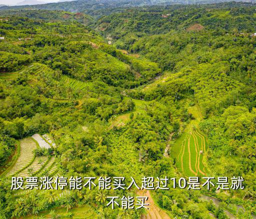 股票涨停能不能买入超过10是不是就不能买