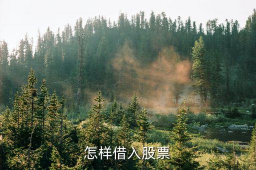 怎样借入股票