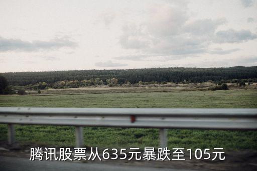 腾讯股票从635元暴跌至105元