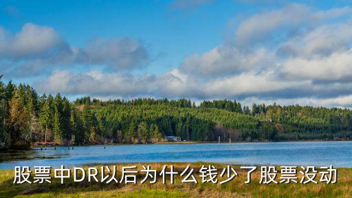dr股票为什么价格变低，股票中DR以后为什么钱少了股票没动