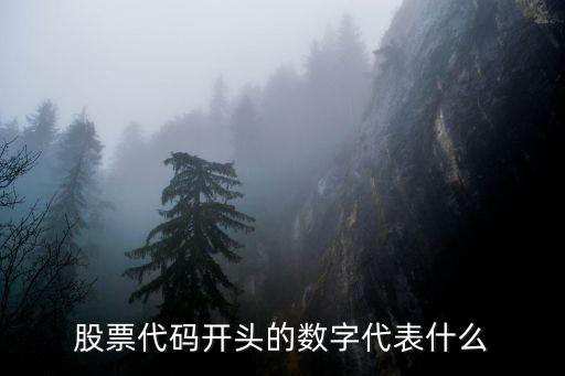 股票代码开头的数字代表什么
