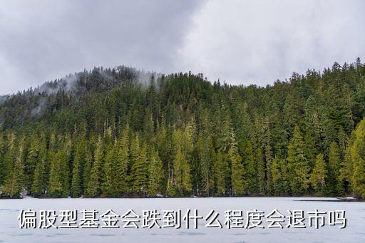 股票基金跌倒多少退市，一支股票资金量少于多少会退市