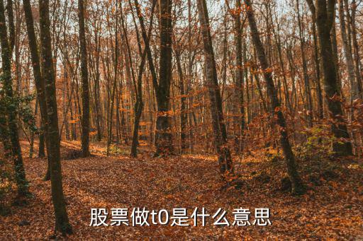 股票做t0是什么意思