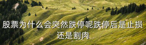 股票为什么会突然跌停呢跌停后是止损还是割肉