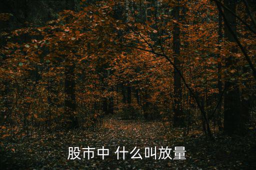 股市中 什么叫放量
