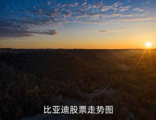 比亚迪股票走势图