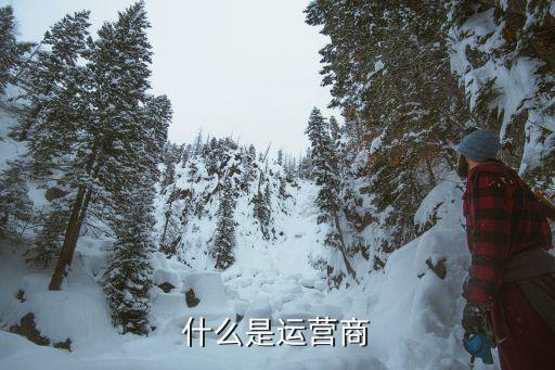 什么是运营商