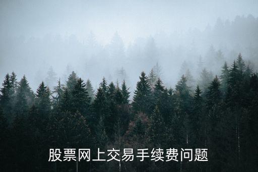 股票网上交易手续费问题