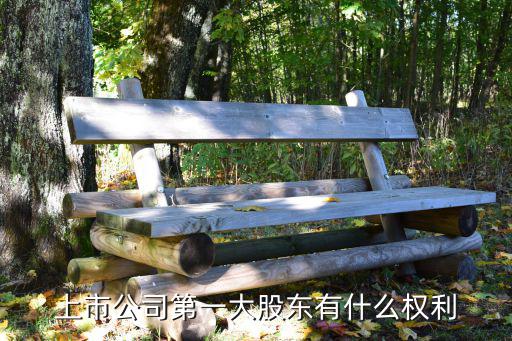 上市公司第一大股东有什么权利