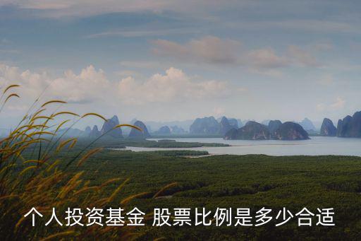 持有股票基金多少合适啊，个人投资基金 股票比例是多少合适