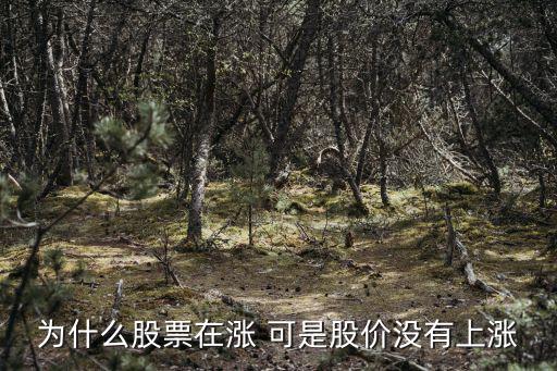为什么股票在涨 可是股价没有上涨