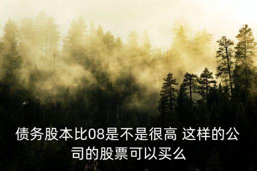 债务股本比08是不是很高 这样的公司的股票可以买么