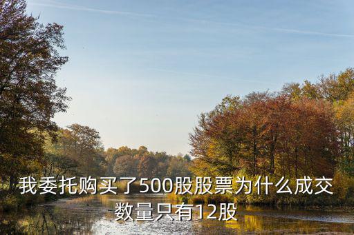 我委托购买了500股股票为什么成交数量只有12股