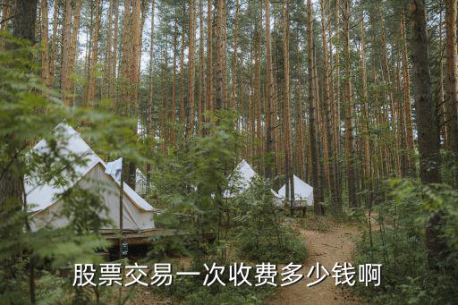 股票00206次多少钱，股票交易一次收费多少钱啊