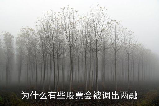 股票为什么会被融资控制，为什么有些股票会被调出两融