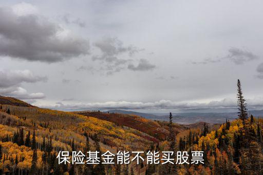 什么基金不能炒股票，保险基金能不能买股票