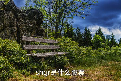 shgr是什么股票