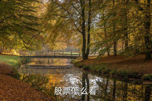 股票怎么看