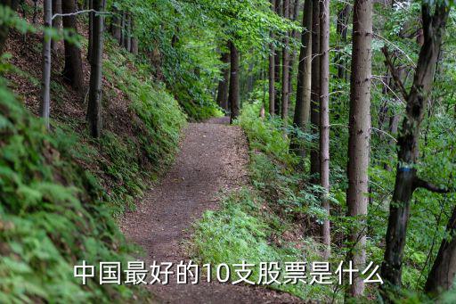 中国最好的10支股票是什么