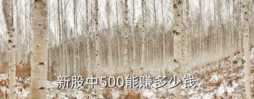 新股中500能赚多少钱