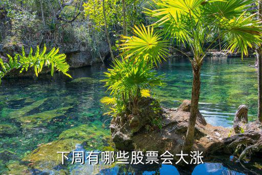 下周有哪些股票会大涨