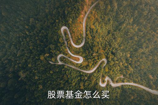 股票型基金怎么买，股票基金怎么买