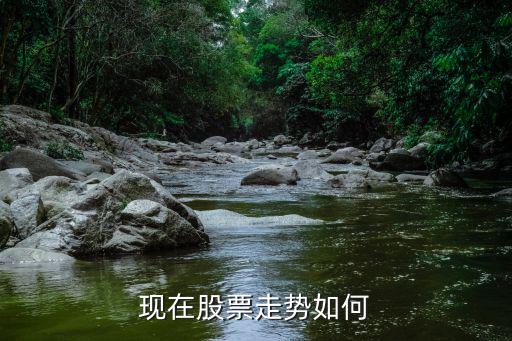 现在股票走势如何