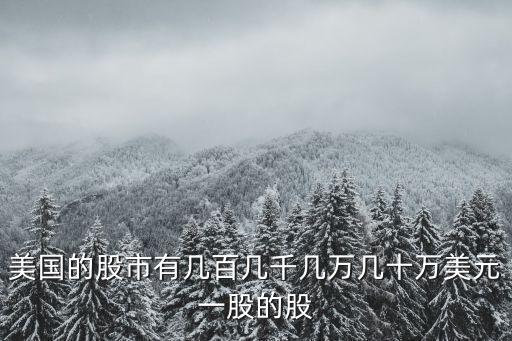 美国的股市有几百几千几万几十万美元一股的股