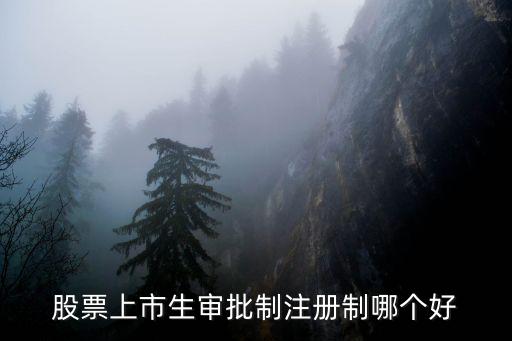 股票上市生审批制注册制哪个好
