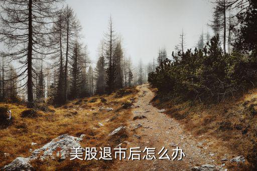 美股退市后怎么办