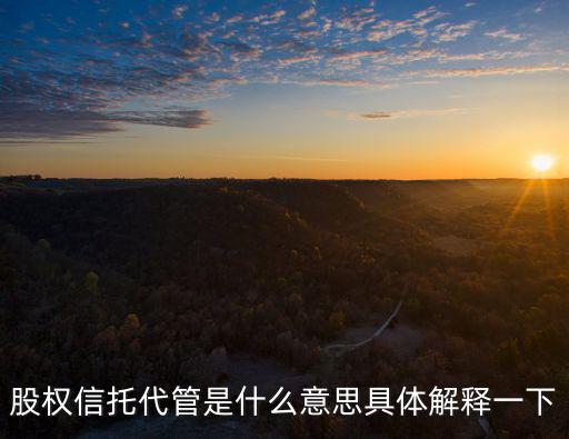 股权信托代管是什么意思具体解释一下