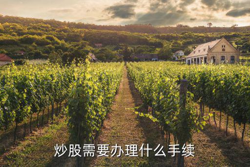 炒股需要办理什么手续