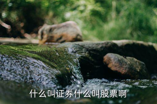 什么叫证券什么叫股票啊