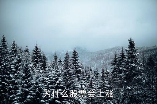 为什么全球股票都会大涨，为什么股票会涨