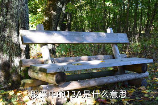 股票中的13A是什么意思