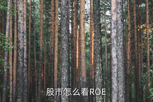 股市怎么看ROE
