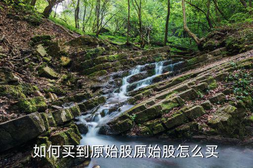 如何买到原始股原始股怎么买