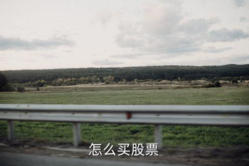 工作日买什么股票，什么股票可以当天买卖